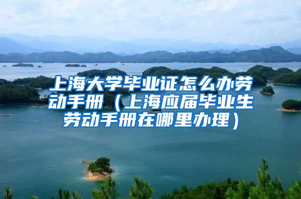 上海大学毕业证怎么办劳动手册（上海应届毕业生劳动手册在哪里办理）