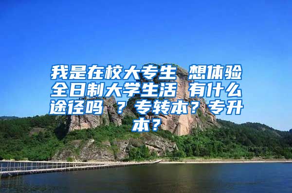 我是在校大专生 想体验全日制大学生活 有什么途径吗 ？专转本？专升本？