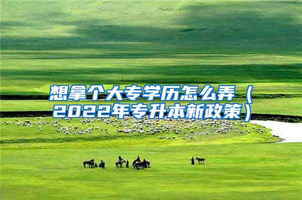 想拿个大专学历怎么弄（2022年专升本新政策）