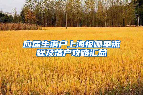 应届生落户上海报哪里流程及落户攻略汇总