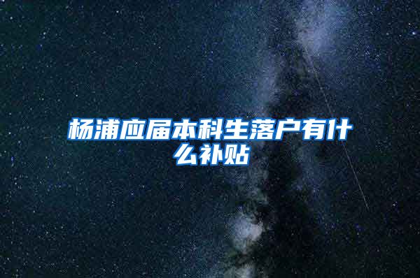 杨浦应届本科生落户有什么补贴