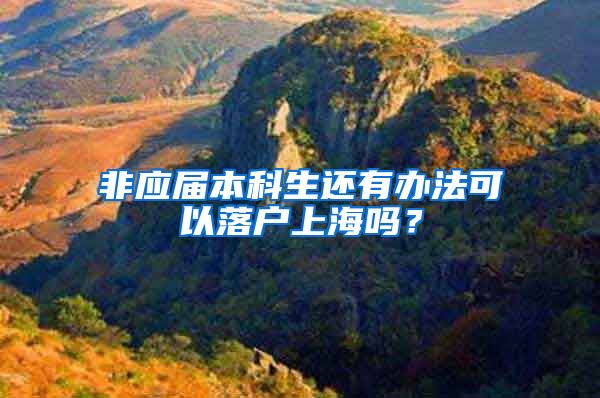 非应届本科生还有办法可以落户上海吗？