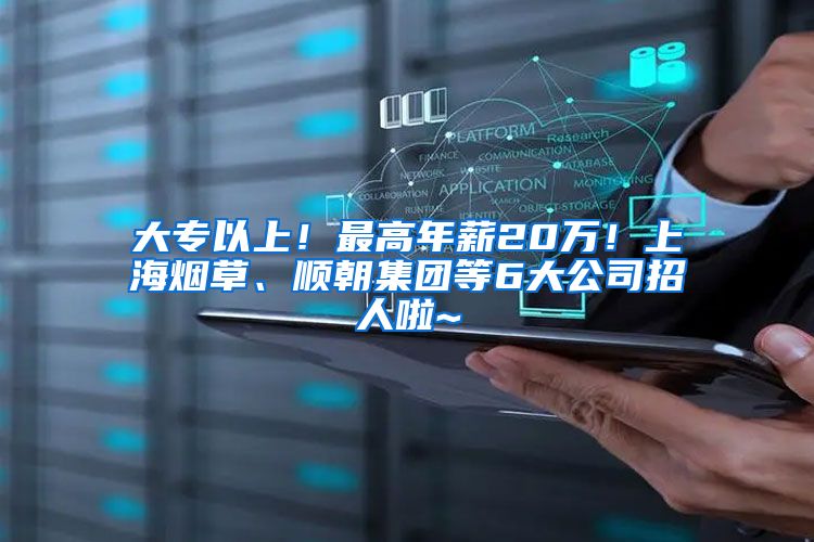 大专以上！最高年薪20万！上海烟草、顺朝集团等6大公司招人啦~