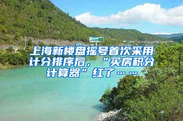 上海新楼盘摇号首次采用计分排序后，“买房积分计算器”红了……
