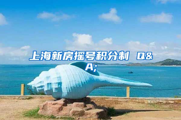 上海新房摇号积分制 Q&A;
