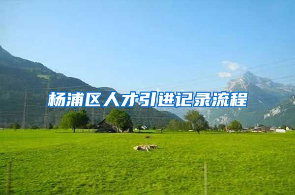 杨浦区人才引进记录流程