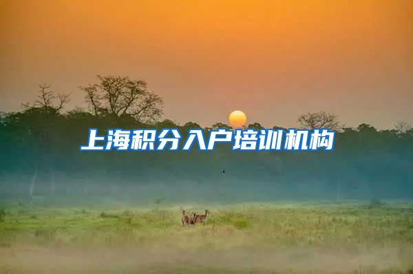 上海积分入户培训机构