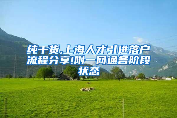 纯干货,上海人才引进落户流程分享!附一网通各阶段状态