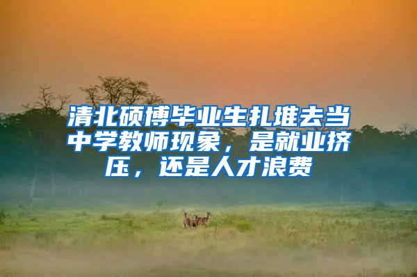 清北硕博毕业生扎堆去当中学教师现象，是就业挤压，还是人才浪费