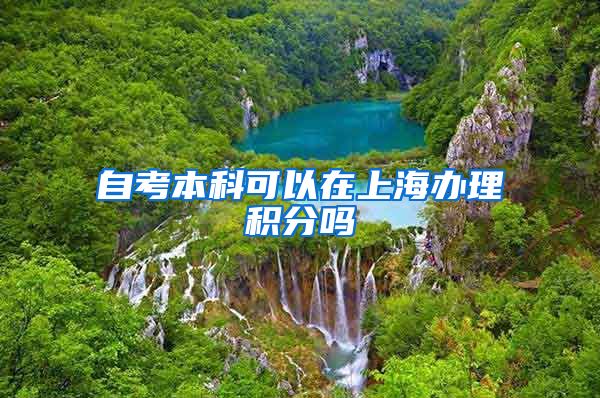 自考本科可以在上海办理积分吗