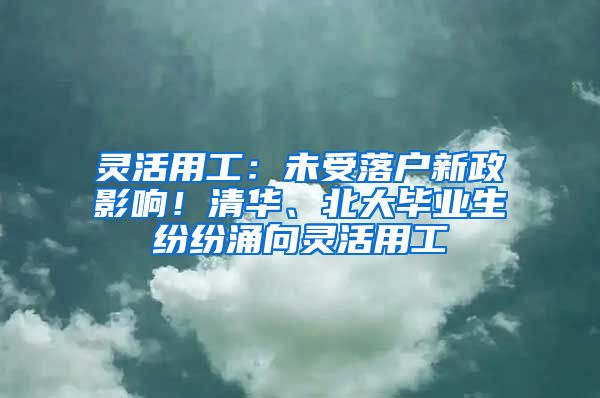 灵活用工：未受落户新政影响！清华、北大毕业生纷纷涌向灵活用工