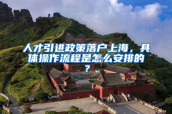 人才引进政策落户上海，具体操作流程是怎么安排的？