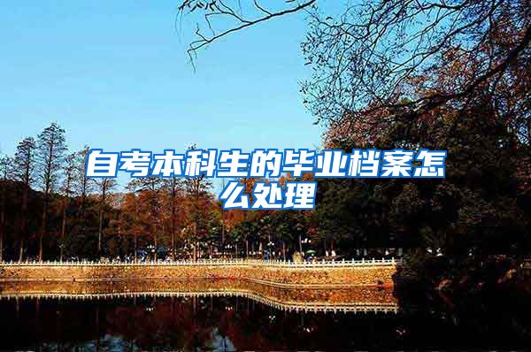 自考本科生的毕业档案怎么处理