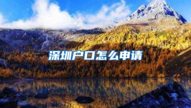 深圳户口怎么申请