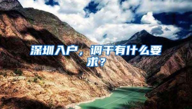 深圳入户，调干有什么要求？