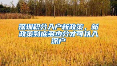 深圳积分入户新政策，新政策到底多少分才可以入深户