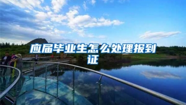 应届毕业生怎么处理报到证