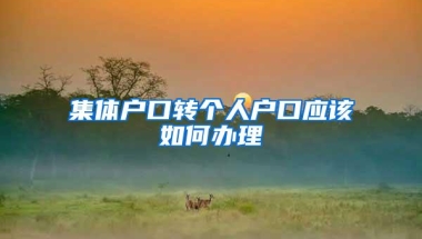 集体户口转个人户口应该如何办理