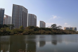 少有人知的孩子能随迁入户深圳的单位集体户