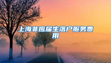 上海非应届生落户服务费用