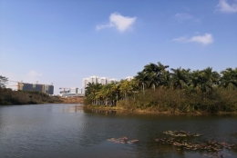 关于留学生深圳户口办理流程，这里有几点建议