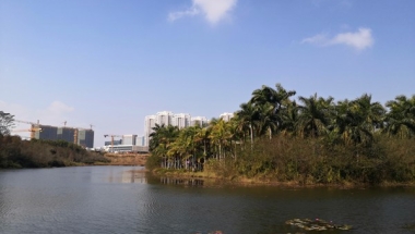 关于留学生深圳户口办理流程，这里有几点建议