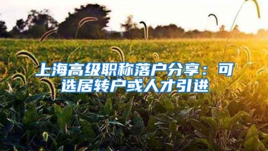上海高级职称落户分享：可选居转户或人才引进