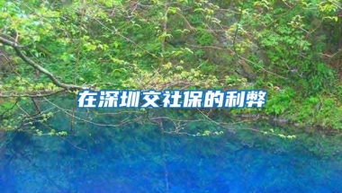 在深圳交社保的利弊