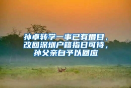 孙卓转学一事已有眉目，改回深圳户籍指日可待，孙父亲自予以回应