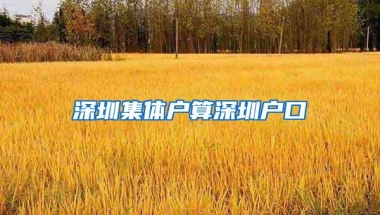 深圳集体户算深圳户口