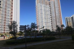 浅谈应对深圳积分入户集体户的潜在问题