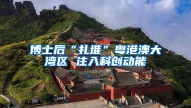 博士后“扎堆”粤港澳大湾区 注入科创动能