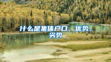 什么是集体户口，优势、劣势