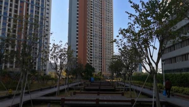 浅谈博士深圳入户，你需要注意这些问题