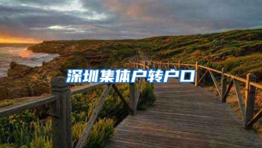 深圳集体户转户口