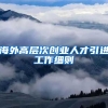海外高层次创业人才引进工作细则