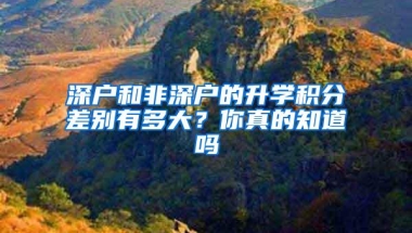 深户和非深户的升学积分差别有多大？你真的知道吗