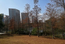 我轻松应对2022年深圳市核准入户办事后，总结了一些经验