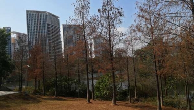 我轻松应对2022年深圳市核准入户办事后，总结了一些经验