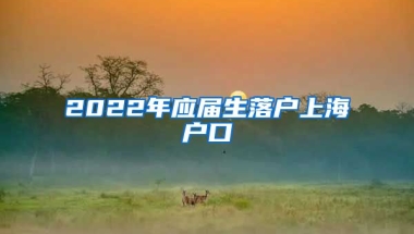 2022年应届生落户上海户口