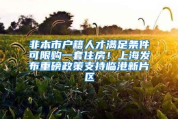 非本市户籍人才满足条件可限购一套住房！上海发布重磅政策支持临港新片区