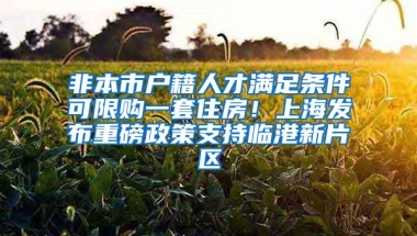 非本市户籍人才满足条件可限购一套住房！上海发布重磅政策支持临港新片区