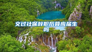 交过社保辞职后算应届生吗