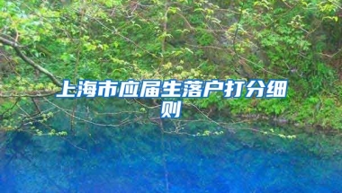 上海市应届生落户打分细则