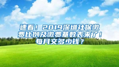 速看！2019深圳社保缴费比例及缴费基数表来了！每月交多少钱？
