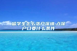 留学生怎么落户深圳,入深户口要什么条件