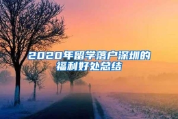 2020年留学落户深圳的福利好处总结