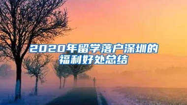 2020年留学落户深圳的福利好处总结