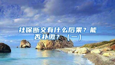 社保断交有什么后果？能否补缴？（一）