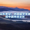 山东泰安：外国留学生体验中国传统文化
